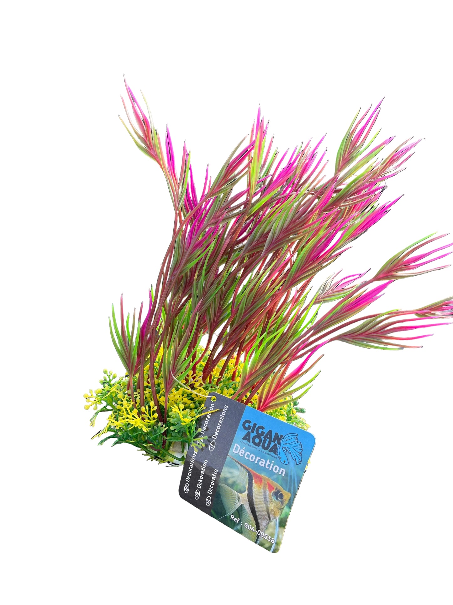 Gigan Aqua Plant with Base 18-22cm