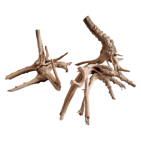WIO Tree Trunk Wood