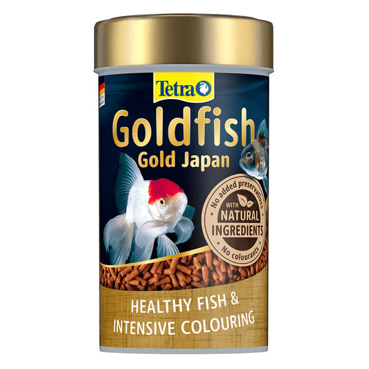 Tetra Goldfish Gold Japan