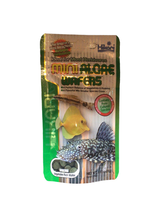 Hikari mini algae wafers