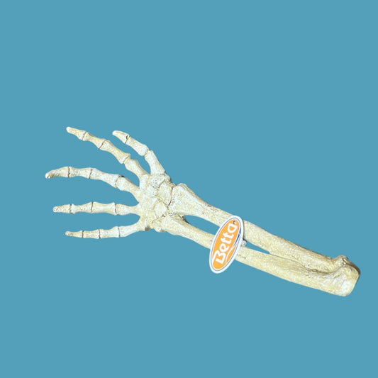 Betta | Skeleton Hand Ornament