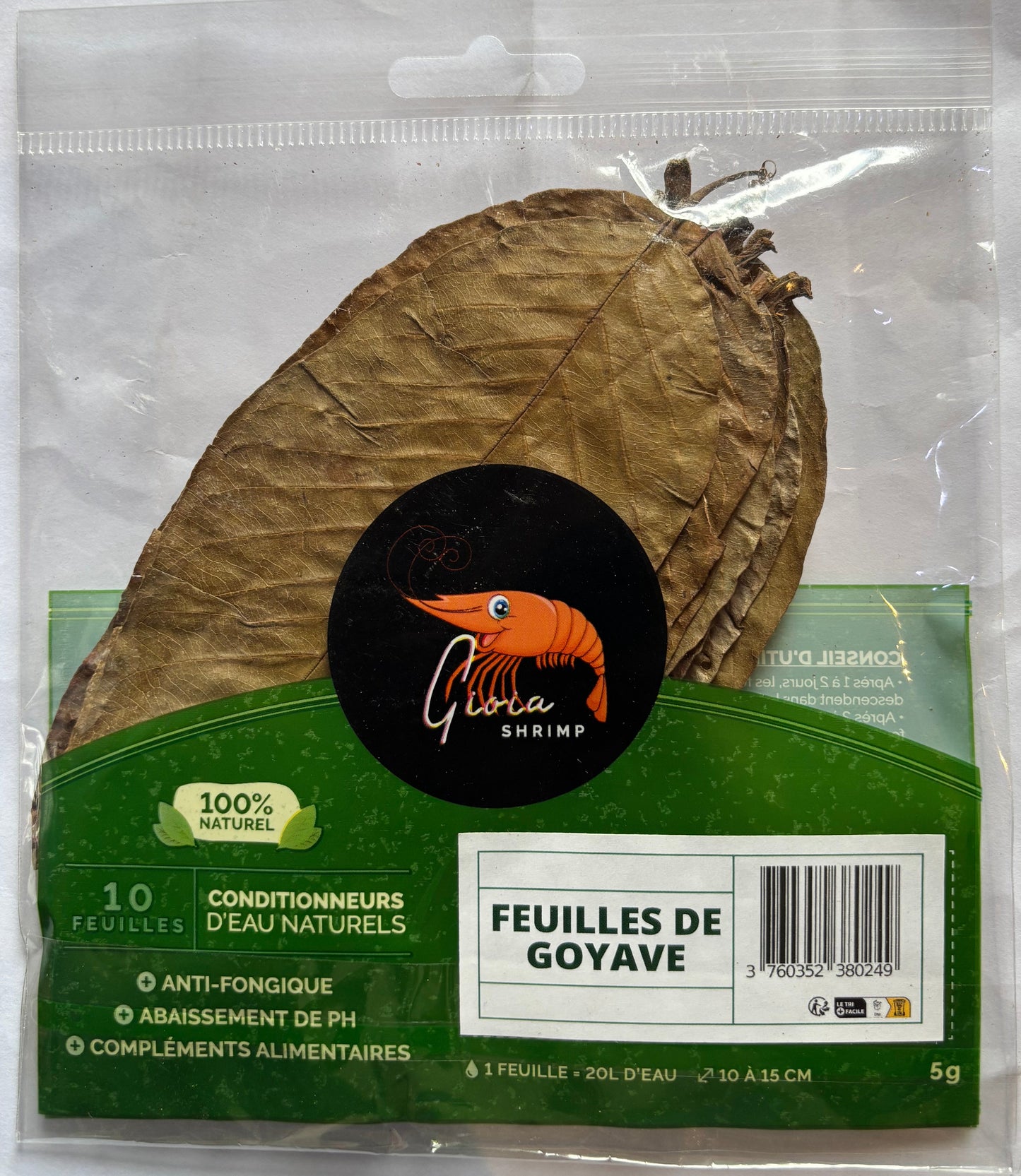 Gioia Guava Leaves 10 Pack