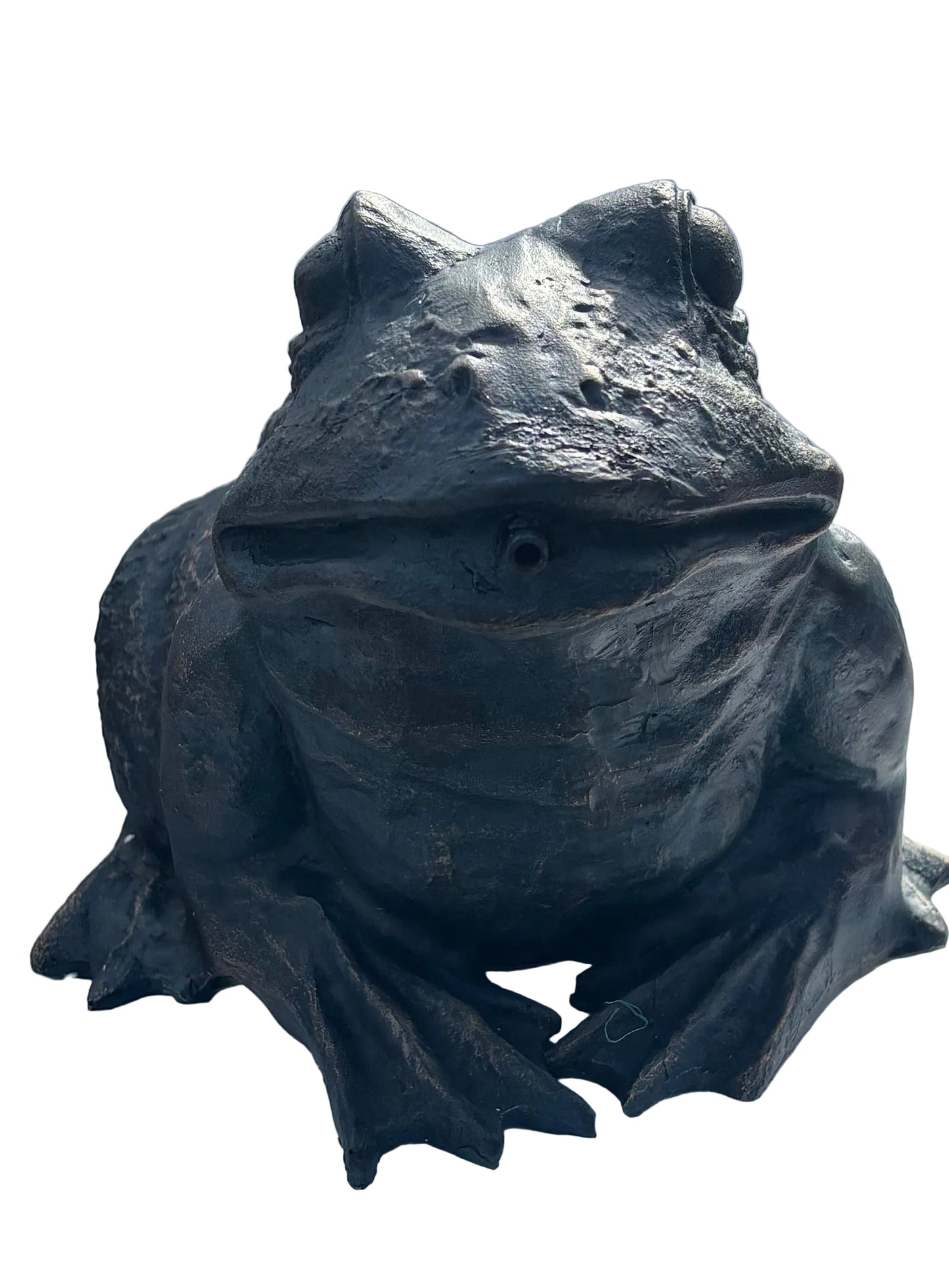 PondXpert Crouching Frog Spitter Large