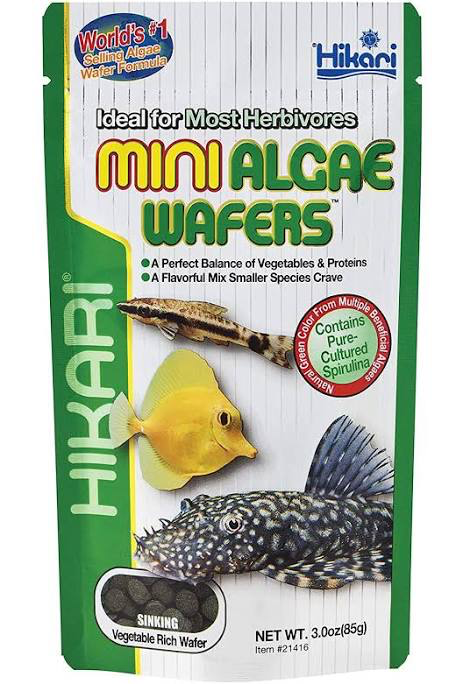Hikari Algae Wafer Mini