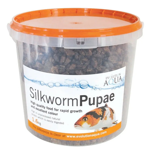 Evolution Aqua Silkworm Pupae