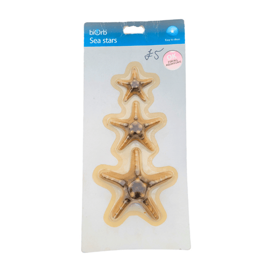 biorb sea stars