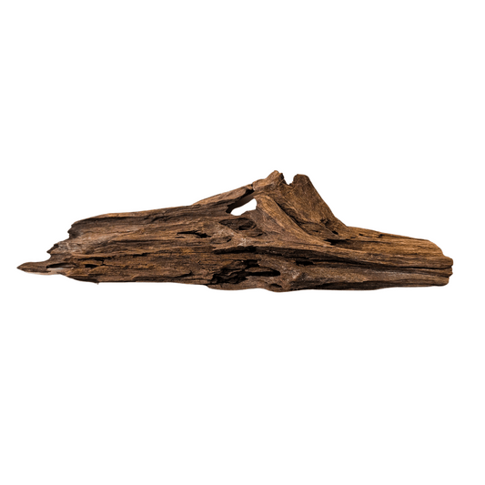 bogwood piece for aquascaping