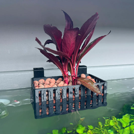 FLAREFORGE Clay Ball Hang-on-back Aquaponic Basket