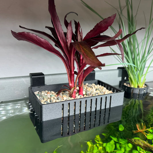 FLAREFORGE Gravel Hang-on-back Aquaponic Basket
