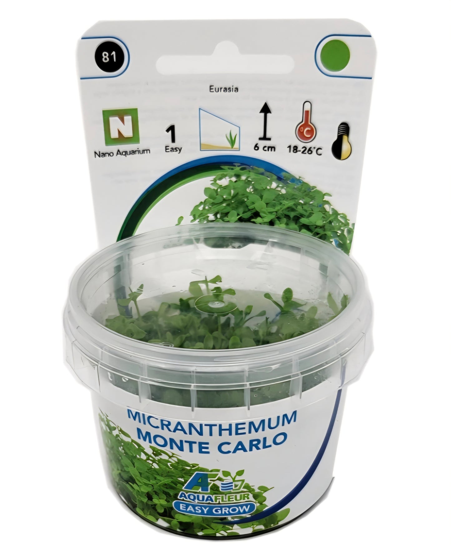 Aquafleur Micranthemum Monte Carlo Easy Grow
