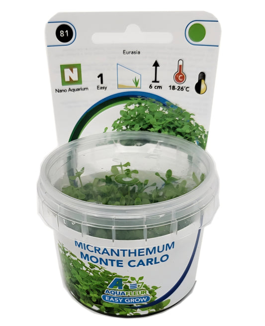 Aquafleur Micranthemum Monte Carlo Easy Grow