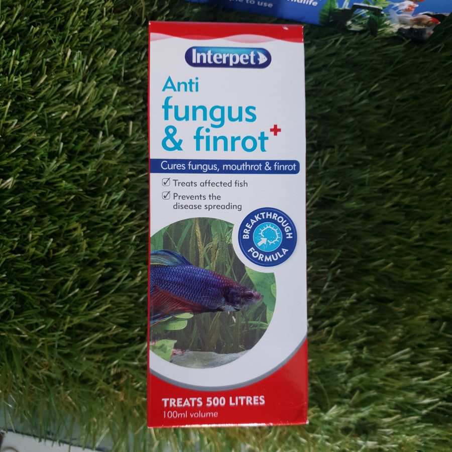 Interpet anti-fungus and fin-rot