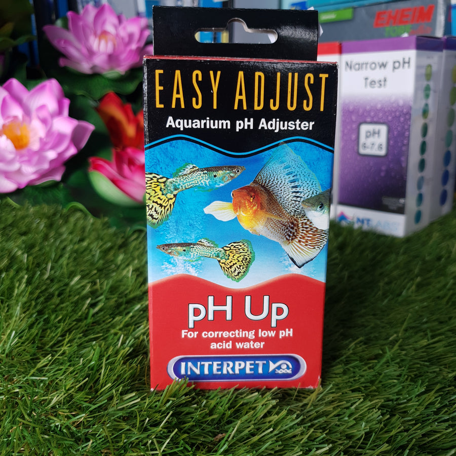 Interpet Easy Adjust- Aquarium PH adjuster- PH Up