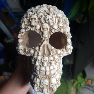 Skull with Skull Carvings