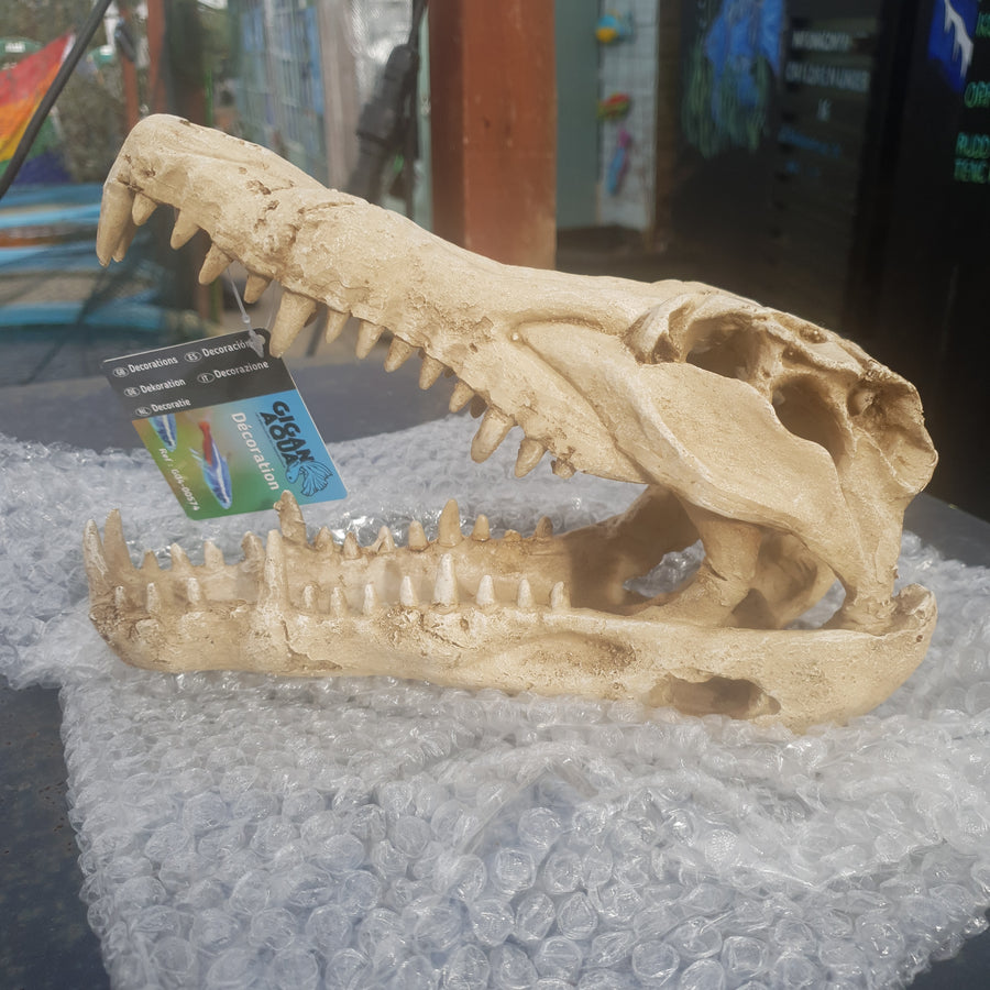 Gigan Aqua Crocodile Skull 22x10.3x13cm