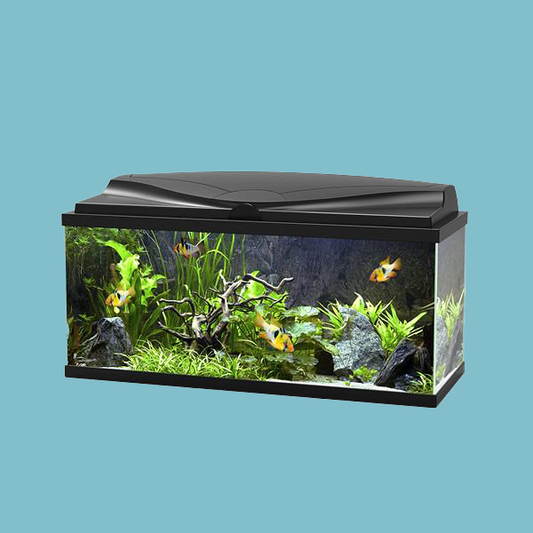 Ciano Aqua 80 LED Aquarium