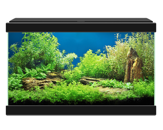 Ciano Aqua 20 Aquarium with LED Light - Black