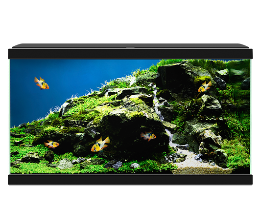 Ciano Aqua 60 Plus LED Aquarium