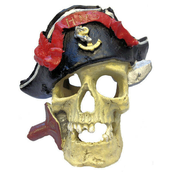 Betta Pirate Skull Ornament