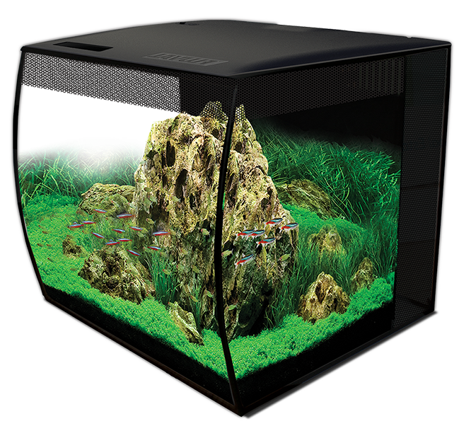 Fluval Flex Black 34L Aquarium Kit