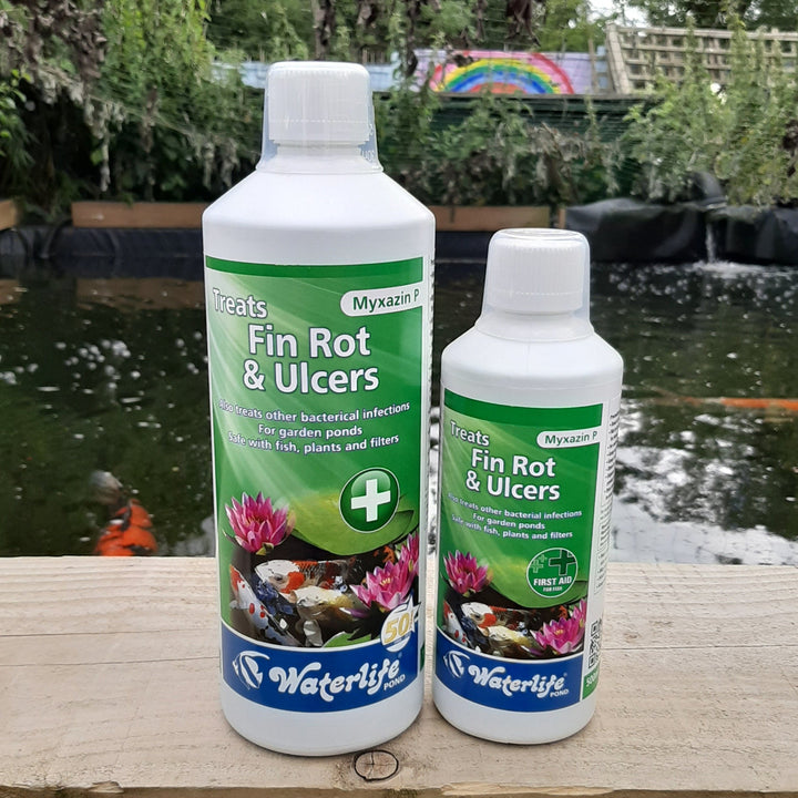 Waterlife Fin Rot and Ulcers Treatment (Myaxin P) both sizes