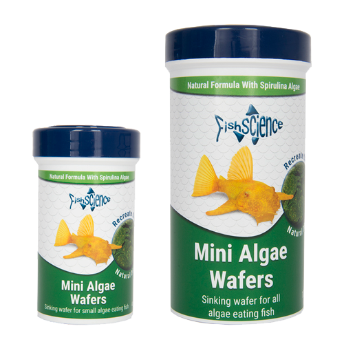 FishScience Mini Algae Wafers