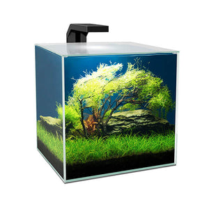 Ciano Cube 15 Aquarium