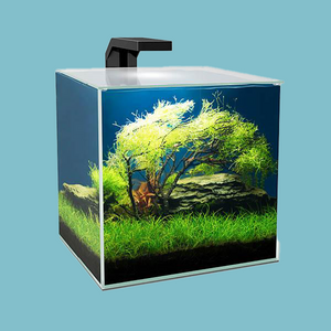 Ciano Cube 15 Aquarium