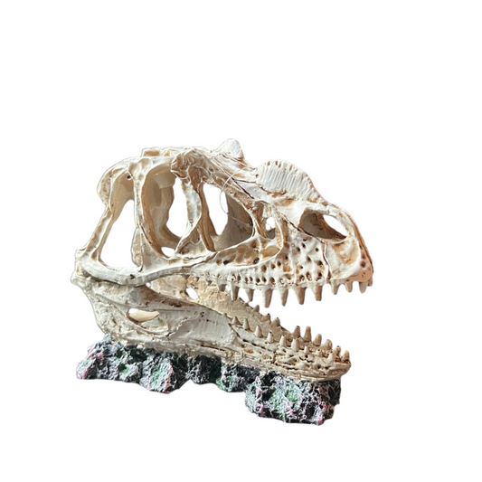 dinosaur skull aquarium ornament