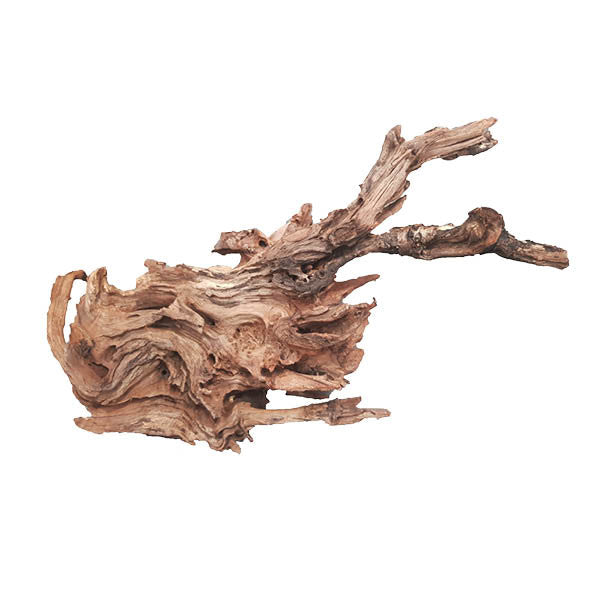 Small Driftwood (10-20cm)