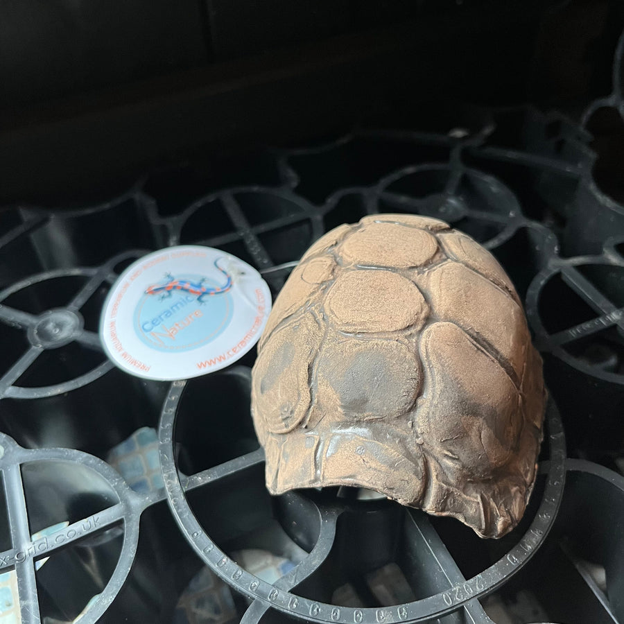 Ceramic Nature Tortoise Cave