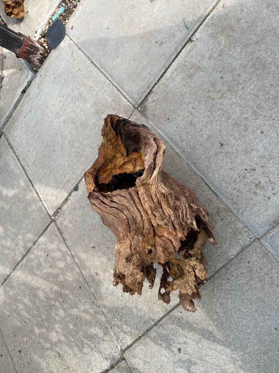 Oak wood pieces (Spear & trunk)