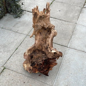 Oak wood pieces (Throne & Bush)