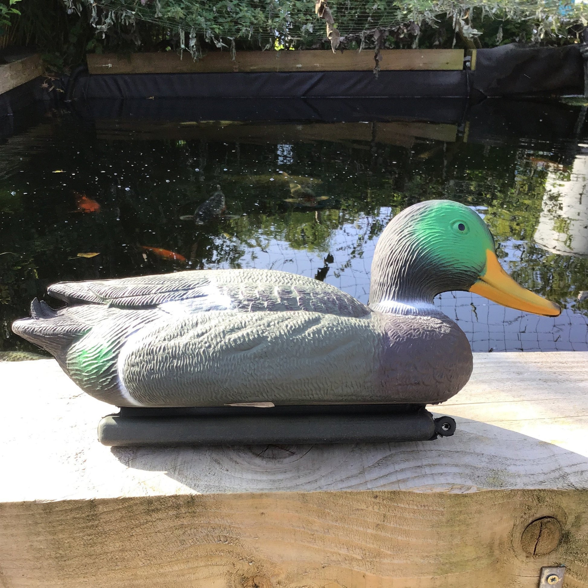 Pontec Mallard Duck Drake