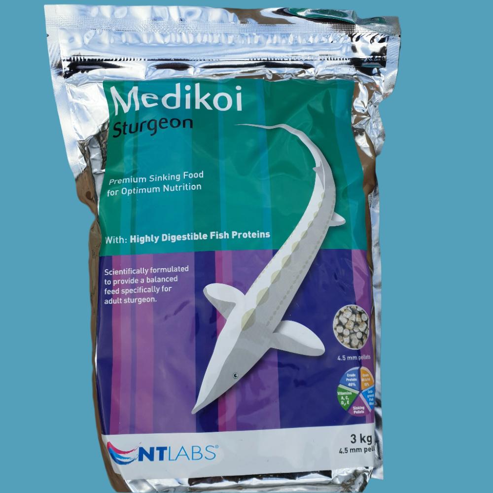 medikoi premium sinking food for sturgeon fish